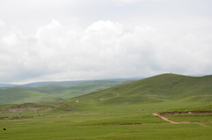 草原绿野 远山云雾缭绕