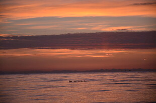 海边绚丽日落美景