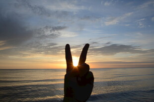 海边日落时的手势剪影