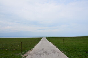 乡间小路延伸至绿野蓝天