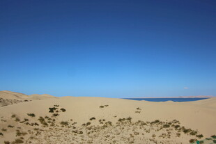 沙漠风光 蓝天与稀疏植被