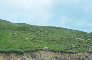 山坡绿草与裸露土层景观
