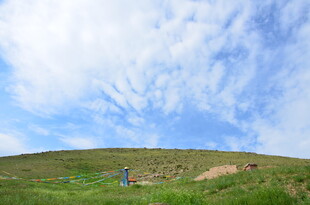 草原上的悠闲时光