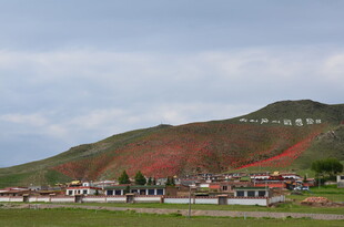 多彩山坡下的村庄景观