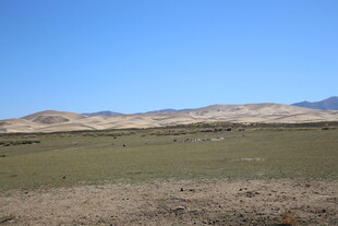 广袤草原与远处山峦景观