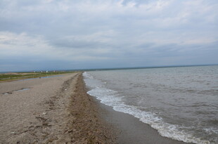 海边沙滩 海浪轻拍岸