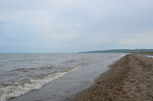 海边沙滩 海浪轻拍岸