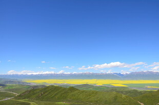 蓝天黄花间的壮美山景