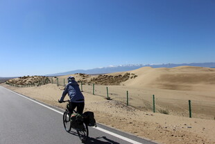 公路骑行者穿越沙漠景观