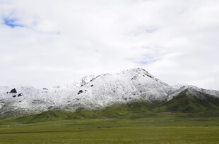 雪山下的广袤草原