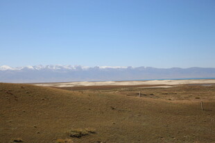 广袤荒原与远处雪山美景