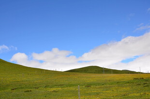 草原蓝天美景