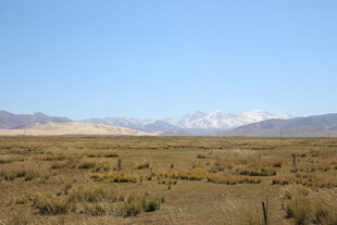 广袤荒原与远处雪山景观