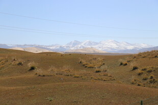 广袤荒漠与远处雪山景观