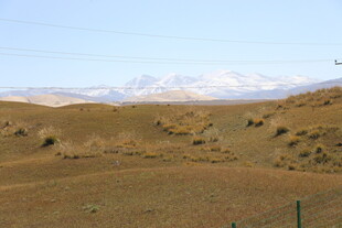 广袤荒漠与远处雪山景观