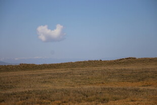 草原上空的心形云朵