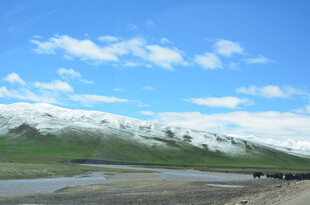 雪山下的旷野风光