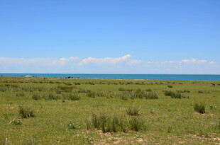 草原与海的广阔风光