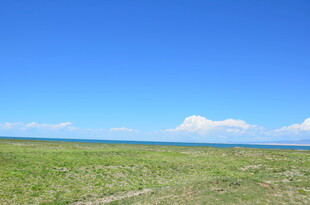 广阔草原与蓝天美景