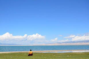 草原湖畔的悠然独行者