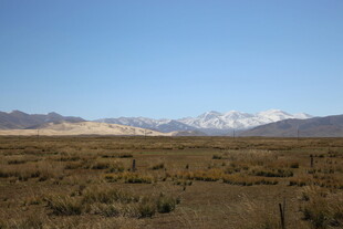 广袤原野与远处雪山景观