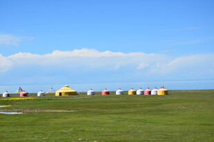 草原上多彩帐篷风景