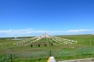 草原上的多彩经幡阵