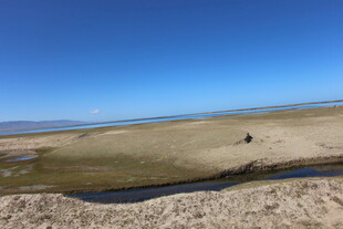广阔荒原中的孤独身影