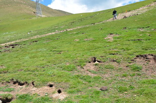 徒步者穿行于翠绿山坡