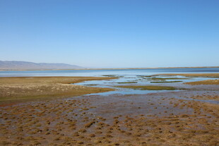 海边浅滩 宁静的自然景致