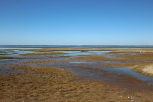 广袤滩涂的宁静风光