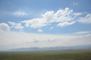 蓝天白云下的广袤原野