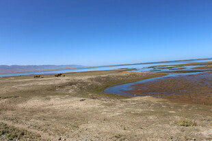 广袤荒原中的水域景观