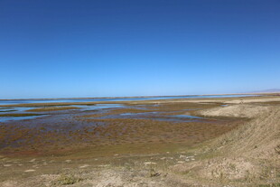 广袤草原湿地景观