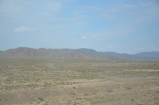 广袤荒凉的原野景观