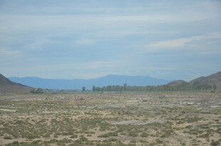 广袤荒漠与远处山峦景观