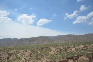 广袤荒漠与远处山峦景观