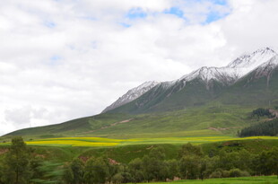 雪山下的黄绿相间美景