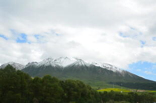 雪山下的葱郁山林