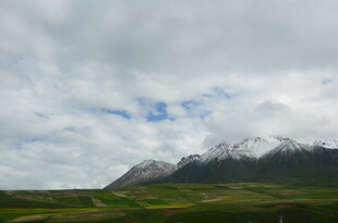 雪山下的广袤绿野风光