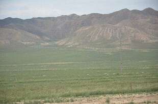 广袤草原与远山风景