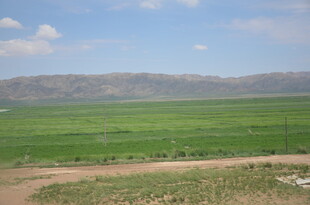 广袤绿野 远山蓝天相伴