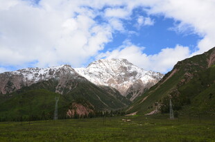 雪山下的翠绿山谷风光