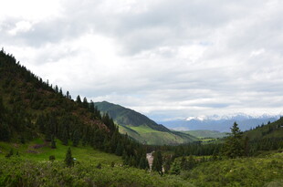 山间绿野 云雾缭绕之景
