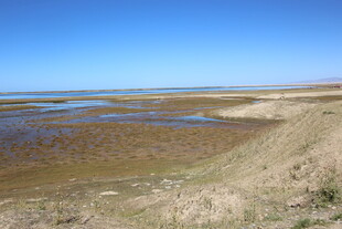 广袤湿地景观 水域与草地