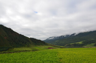 草原山谷间的壮美风光