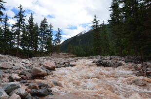 山间湍急的泥泞河流
