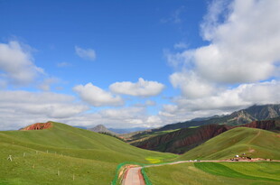 草原美景中的蜿蜒小路
