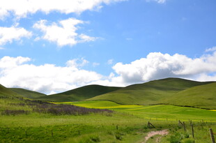 草原风光 蓝天白云绿野