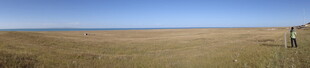 广阔草原上的独行者